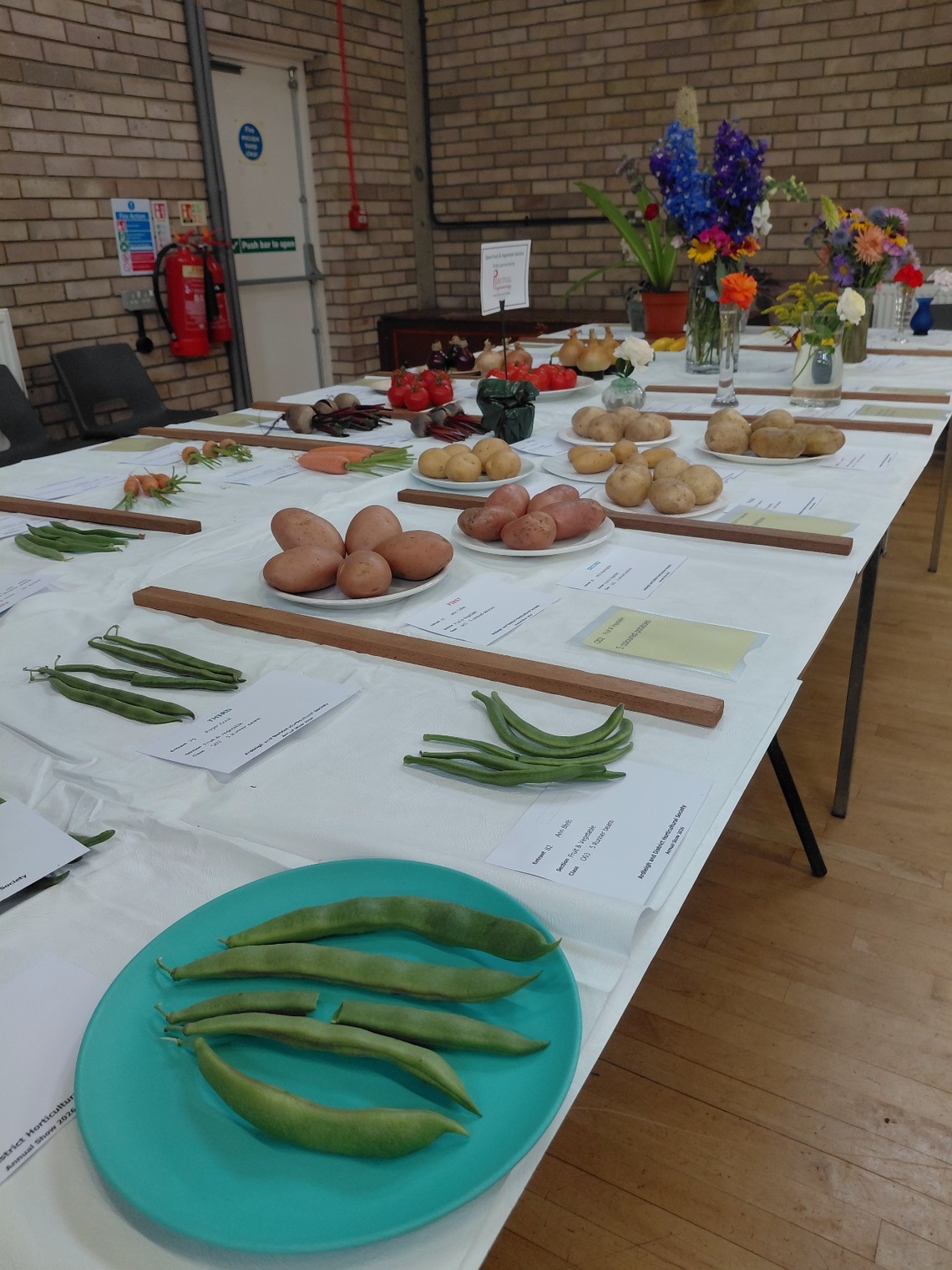 Vegetables 2026 4