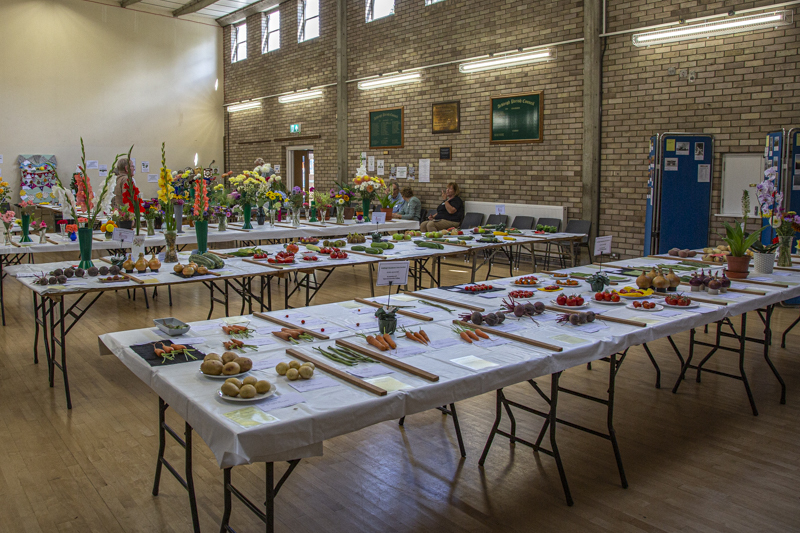 view from back of hall