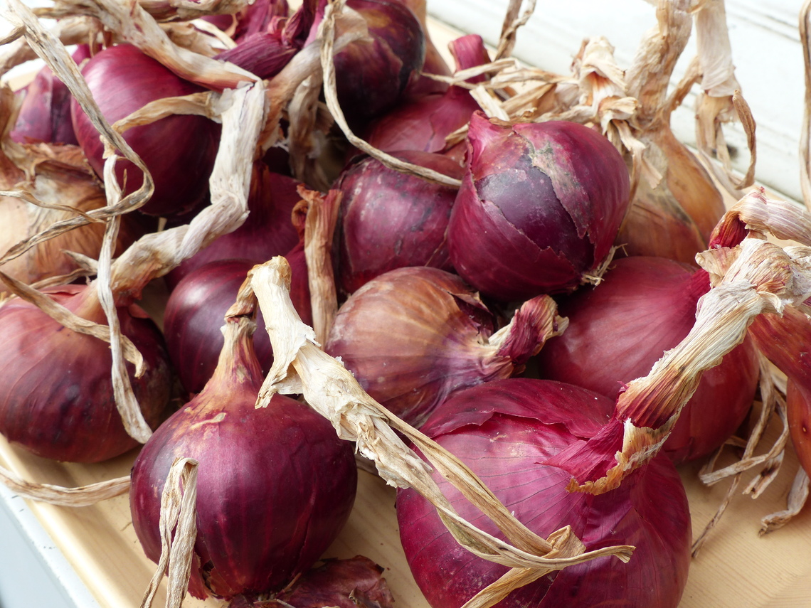 Red Baron onions