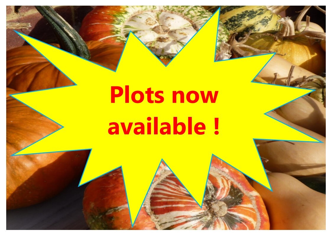 plots now available