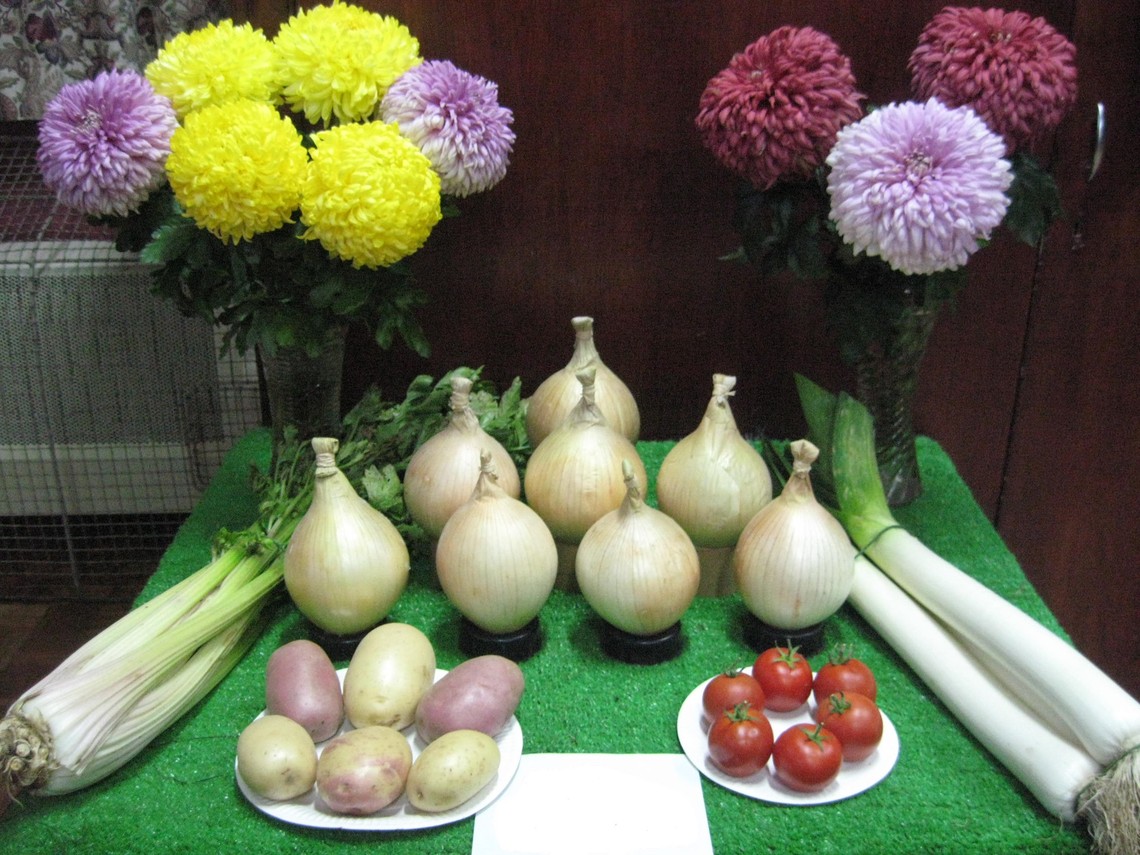 Prizewinning display