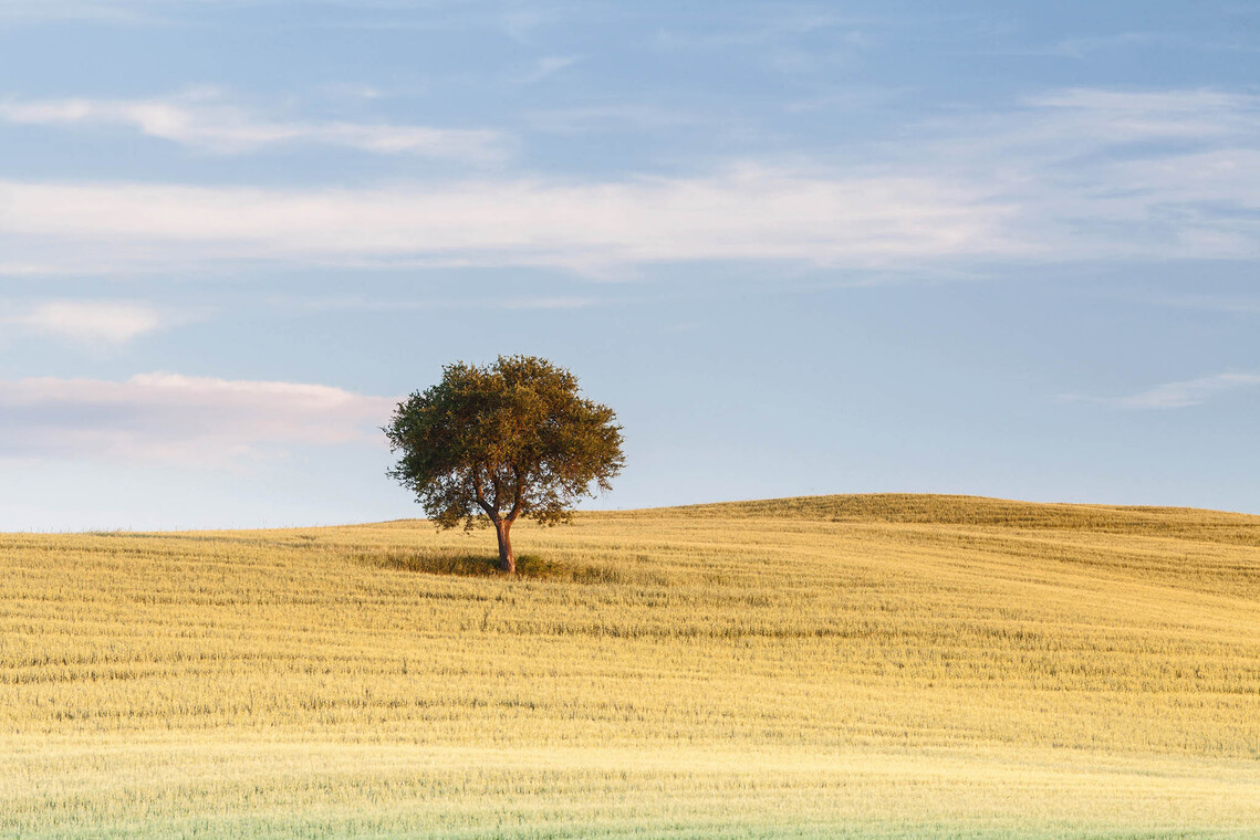 Tuscany