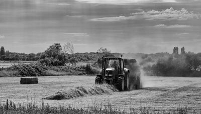 4 The Last of The Haymaking