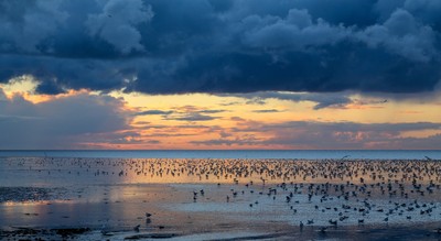 19 Heacham Evening Light