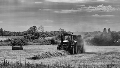 The Last of The Haymaking