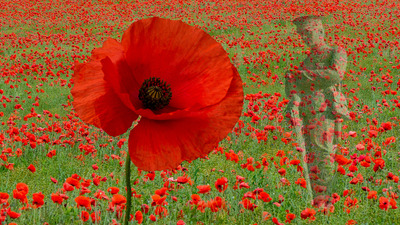 Lest We Forget DPI_15