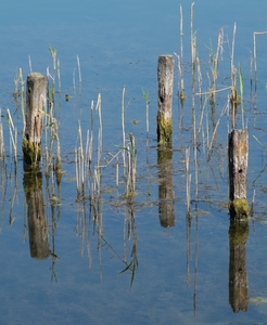 Reflections of Weathering_16