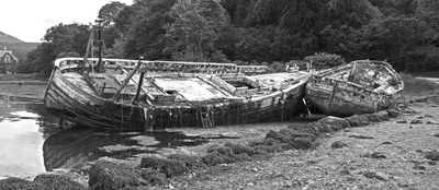 Claimed by The Elements