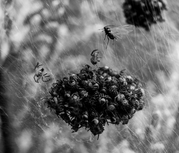 The Takeaway's Arrived