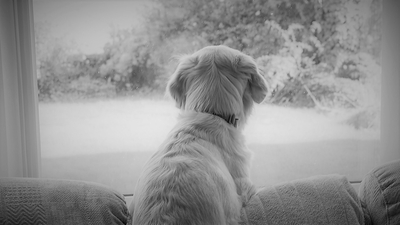 24_You won't believe what I have just seen