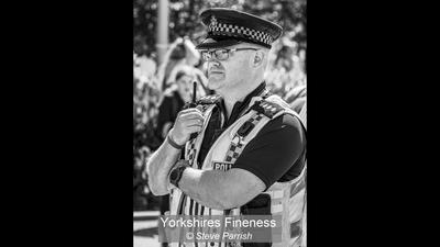 19_Yorkshires Fineness_Steve Parrish
