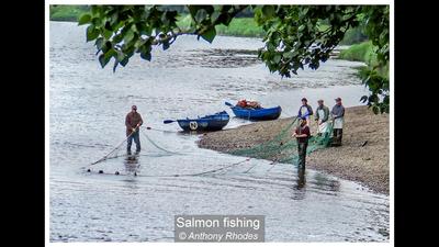 Salmon fishing  Anthony Rhodes