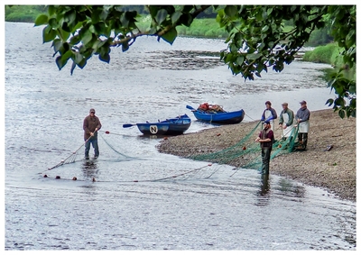 Salmon fishing