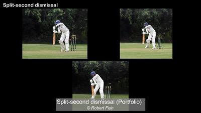 Split-second dismissal (Portfolio)_Robert Fish