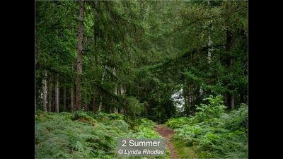 Summer_Lynda Rhodes