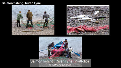 Winner Jan 2022 Salmon /fishing on the River Tyne by Anthony Rhodes