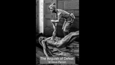 The Anguish of Defeat_Steve Parrish