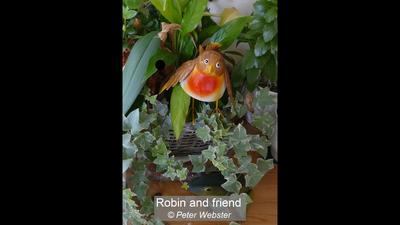 Robin and friend_Peter Webster