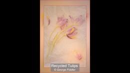 EP6 runner Up George Fiddler  - Recycled Tulips