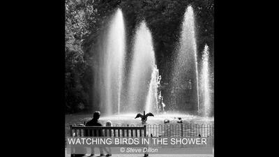 11_WATCHING BIRDS IN THE SHOWER_Steve Dillon