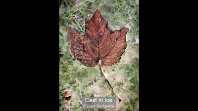 Cast in Ice