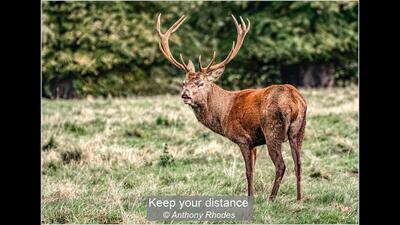 Keep your distance