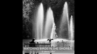 Watching Birds in the Shower Steve Dillon 18 points