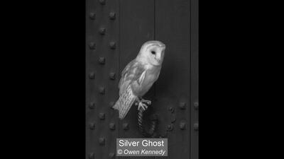 Silver Ghost