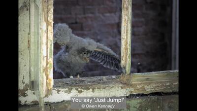 You say 'Just Jump!'