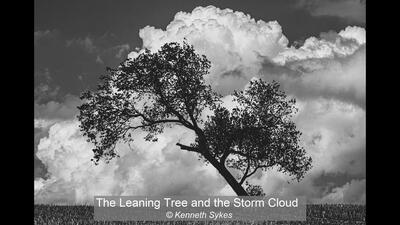 01_The Leaning Tree and the Storm Cloud_Kenneth Sykes