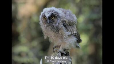 05_I'm 10 days old!_Owen Kennedy