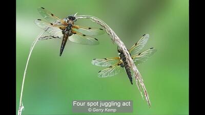 September 2023 to August 2024