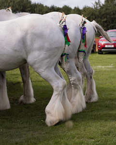 Does my bum look big in this