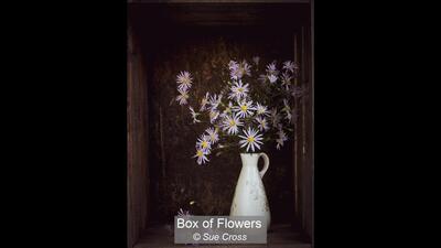 Box of Flowers