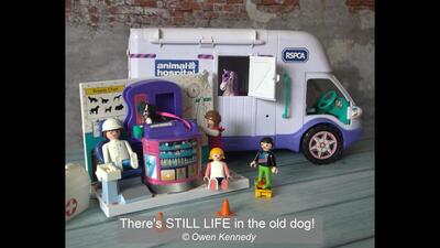 09_There's STILL LIFE in the old dog!_Owen Kennedy