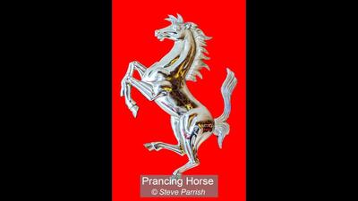 14_Prancing Horse_Steve Parrish
