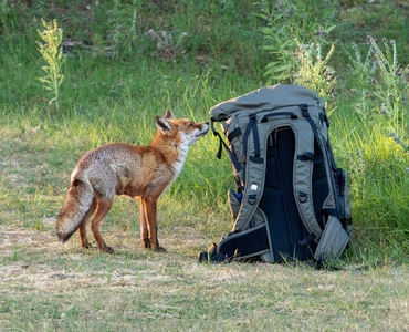 What's in this rucksack