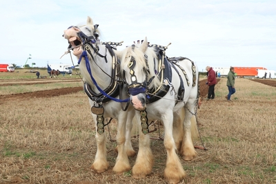 IT WASN'T THAT FUNNY