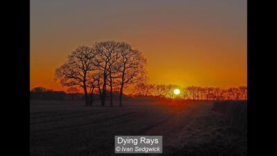 04_Dying Rays_Ivan Sedgwick