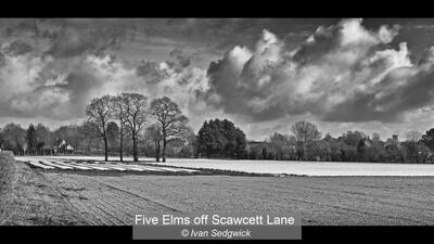 03_Five Elms off Scawcett Lane_Ivan Sedgwick