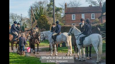 What's in that bucket