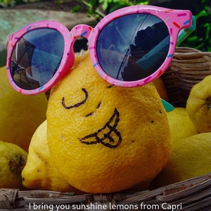 Well thought out and executed.