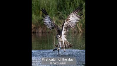 01_First catch of the day._Barry Inman