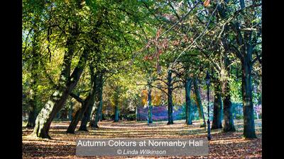 Autumn Colours at Normanby Hall