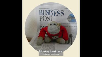 Monkey business
