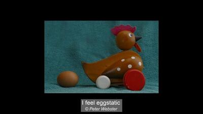 I feel eggstatic