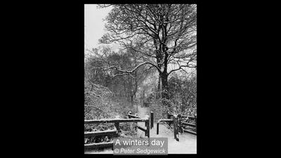 03_A winters day_Peter Sedgewick