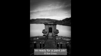 08_Im ready for a paint job!_Sue Cross