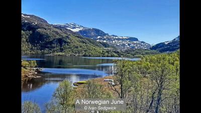 13_A Norwegian June_Ivan Sedgwick