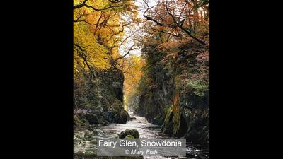 Fairy Glen Snowdonia